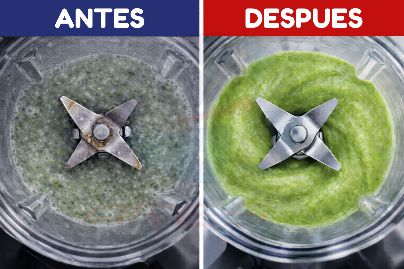 Cuchilla Para Licuadora Nutri Ninja De 7 Aletas